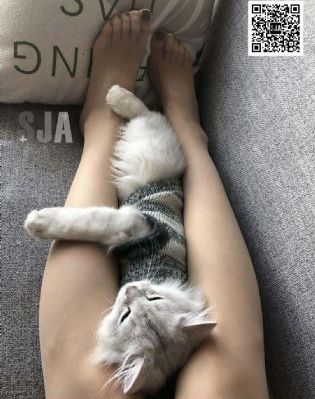 年轻的小姨电影