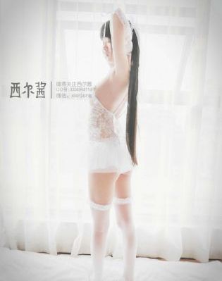 雪狼40集全免费观看