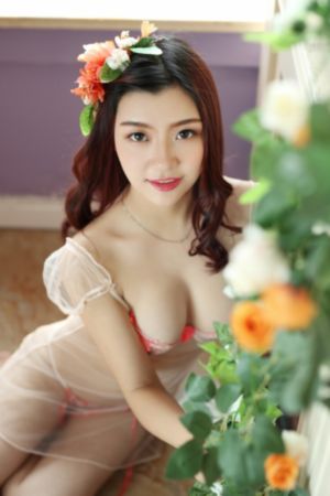 免费观看完整版萝卜电视剧