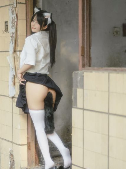 噼里啪啦免费在线观看