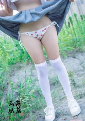 大梦归离电视剧免费看