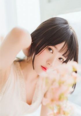 炮弹专家