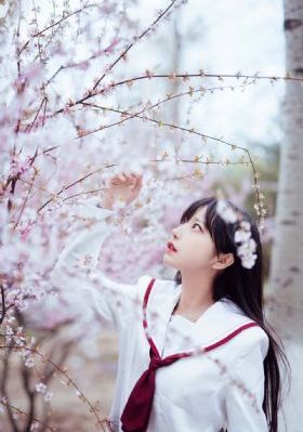 湖南卫视今晚上8点的节目是什么