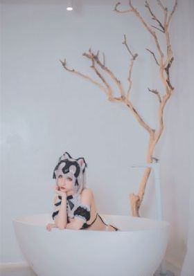 孤舟电视剧